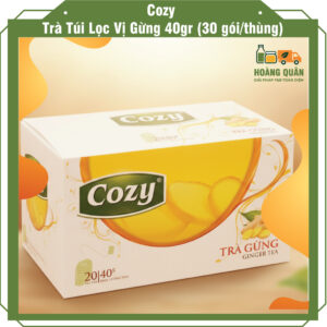 Trà túi lọc Cozy vị Gừng (40gr)(30 góithùng)
