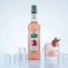 Teisseire – Syrup vị Vải (Lychee) 700ml
